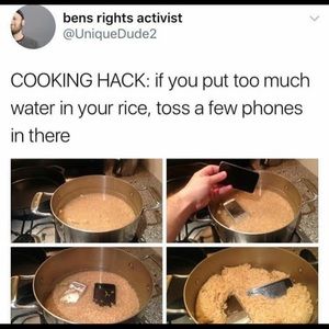 Meet your Posher, Daisy